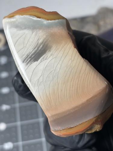 Orbed polychrome jasper - polychrome,