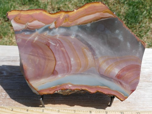 Tcr madagascar polychrome - tcr,