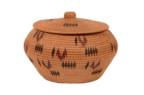 Washoe polychrome lidded - washoe,