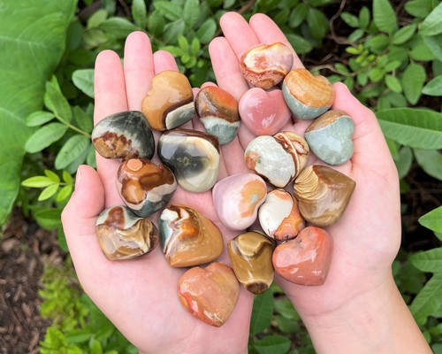 Pack natural polychrome - pack,